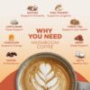 RYZE Mushroom Coffee | Best Mushroom Coffee